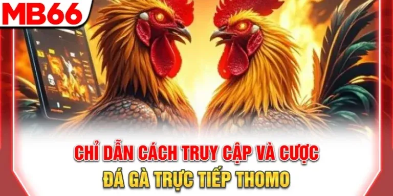 Chỉ dẫn cách truy cập và cược đá gà trực tiếp Thomo